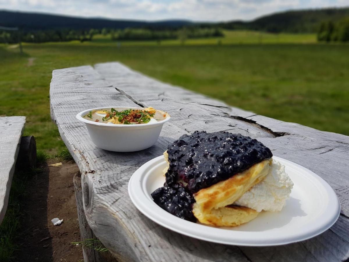 Enjoyharrachov - Atraktivni Slunne Studio Certovka V Centru Harrachova S Garazovym Parkovanim, Wifi-Wlan, Sat, Herni Konzoli, Netflix Zdarma A Nejkrasnejsim Vyhledem Na Certovu Horu S Arealem Skokanskych Mustku A Sjezdovku Apartment Luaran gambar