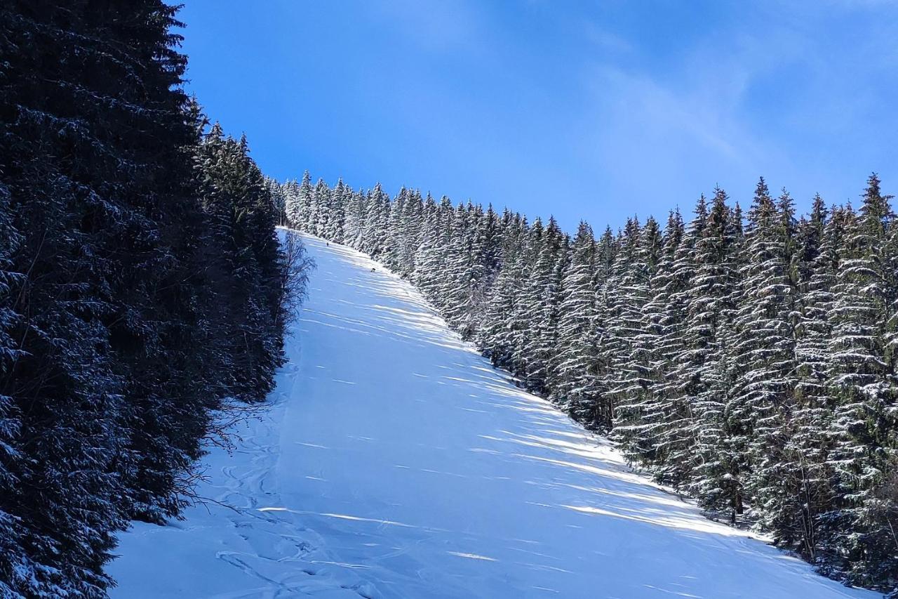 Enjoyharrachov - Atraktivni Slunne Studio Certovka V Centru Harrachova S Garazovym Parkovanim, Wifi-Wlan, Sat, Herni Konzoli, Netflix Zdarma A Nejkrasnejsim Vyhledem Na Certovu Horu S Arealem Skokanskych Mustku A Sjezdovku Apartment Luaran gambar