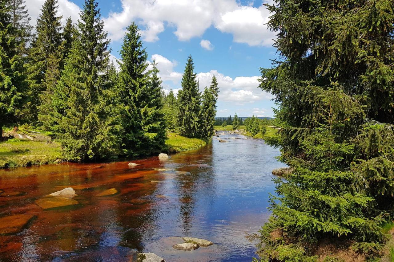 Enjoyharrachov - Atraktivni Slunne Studio Certovka V Centru Harrachova S Garazovym Parkovanim, Wifi-Wlan, Sat, Herni Konzoli, Netflix Zdarma A Nejkrasnejsim Vyhledem Na Certovu Horu S Arealem Skokanskych Mustku A Sjezdovku Apartment Luaran gambar